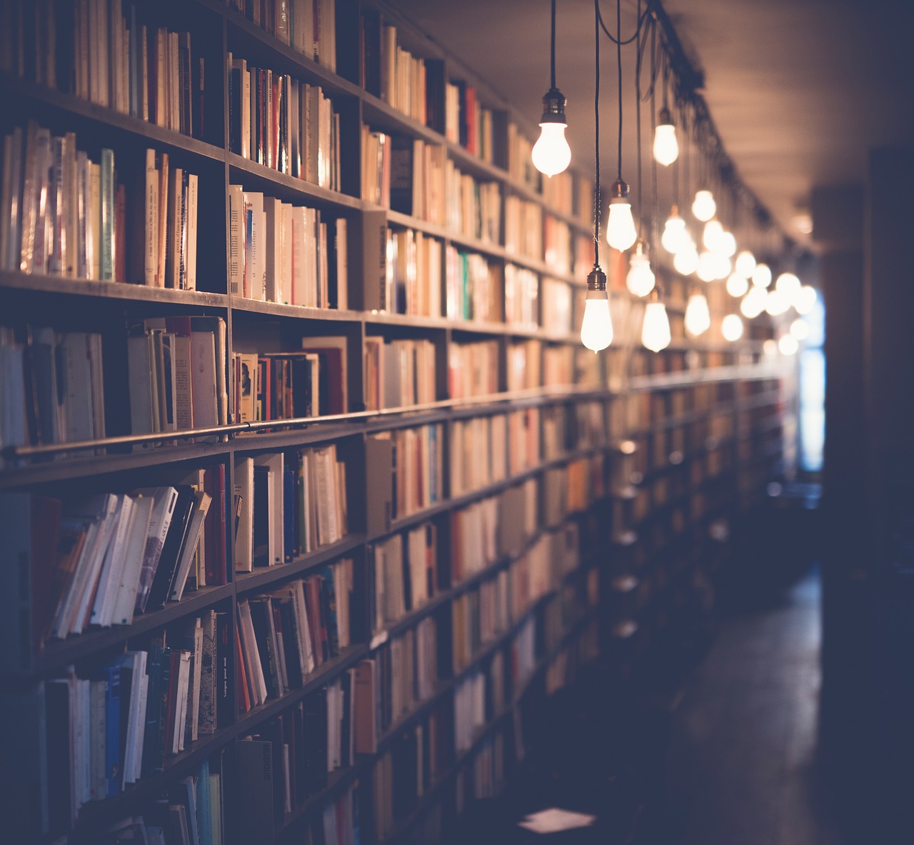 Shelf share: O que é e por que importa no varejo