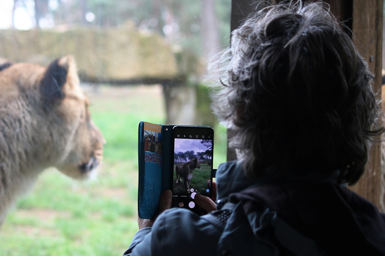 Telefone do Zoo SP: Contatos e informações para sua visita
