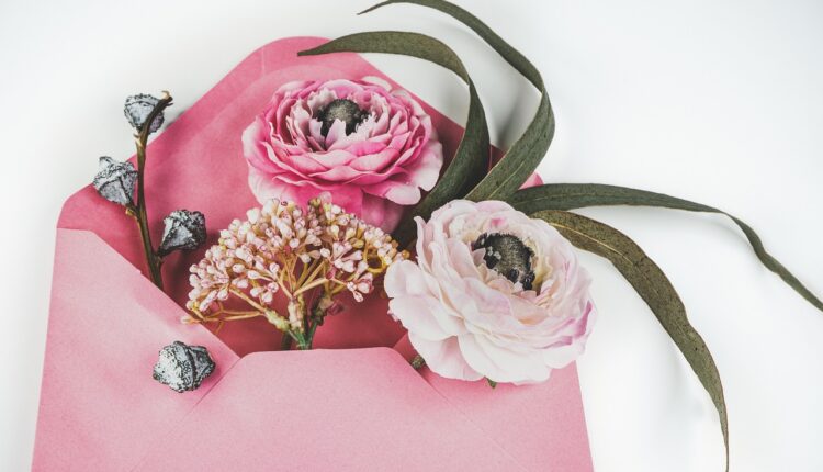 Enviar mensagem anônima WhatsApp: 3 formas seguras