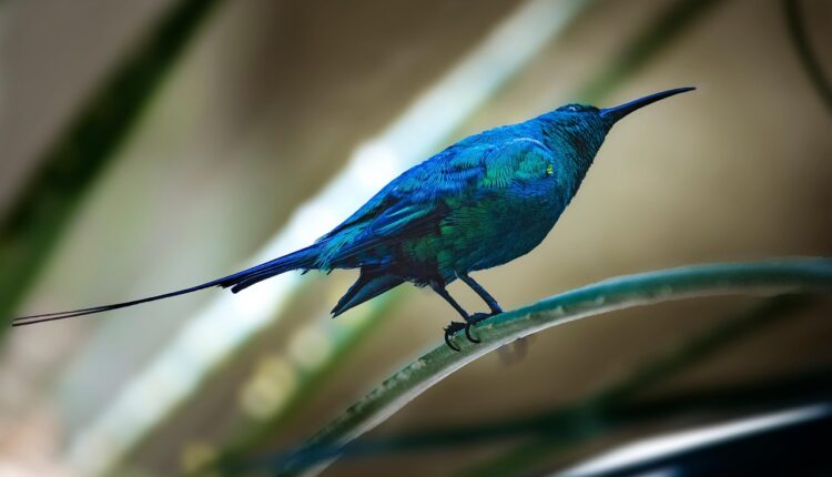 É possível emitir nota fiscal retroativa? Saiba como