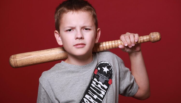 10 curiosidades sobre Mundo Bita: Surpresas para os pequenos