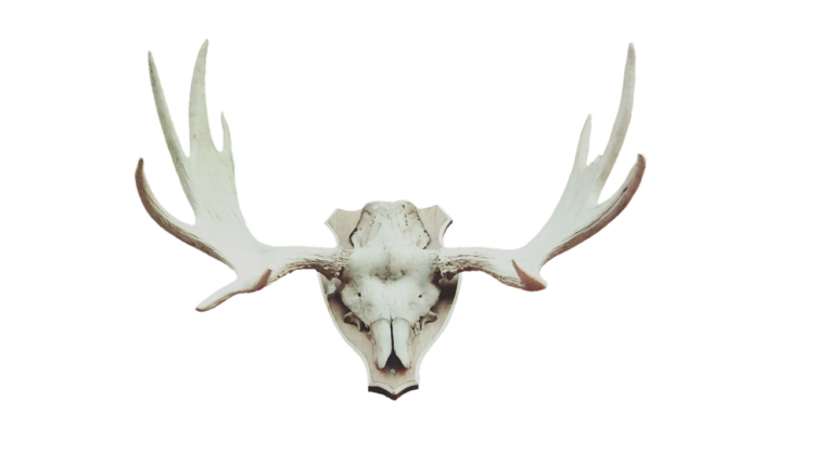 Quantas Libertadores o São Paulo tem? Conheça a história