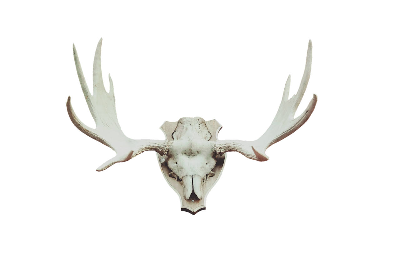 Quantas Libertadores o São Paulo tem? Conheça a história