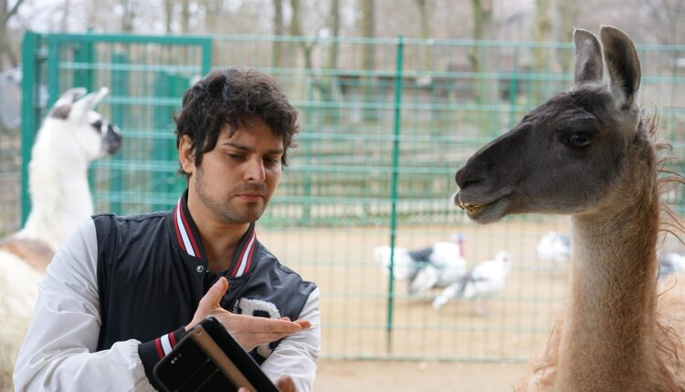 Telefone do Zoo SP: Contatos e informações para sua visita