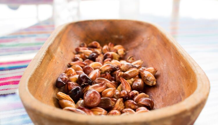 Conheça a Vila Butantan: Gastronomia, lojas e diversão