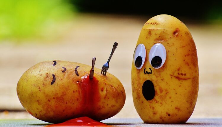 Quer ganhar R$500? Conheça a promoção da Elma Chips