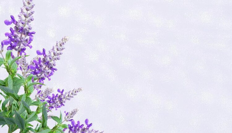 Transforme Sua Festa com Cartões Digitais Inesquecíveis para Crianças!